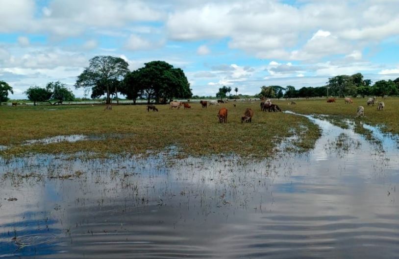 Productores de Socopó evalúan el impacto del inicio de las lluvias en los costos de producción agrícola